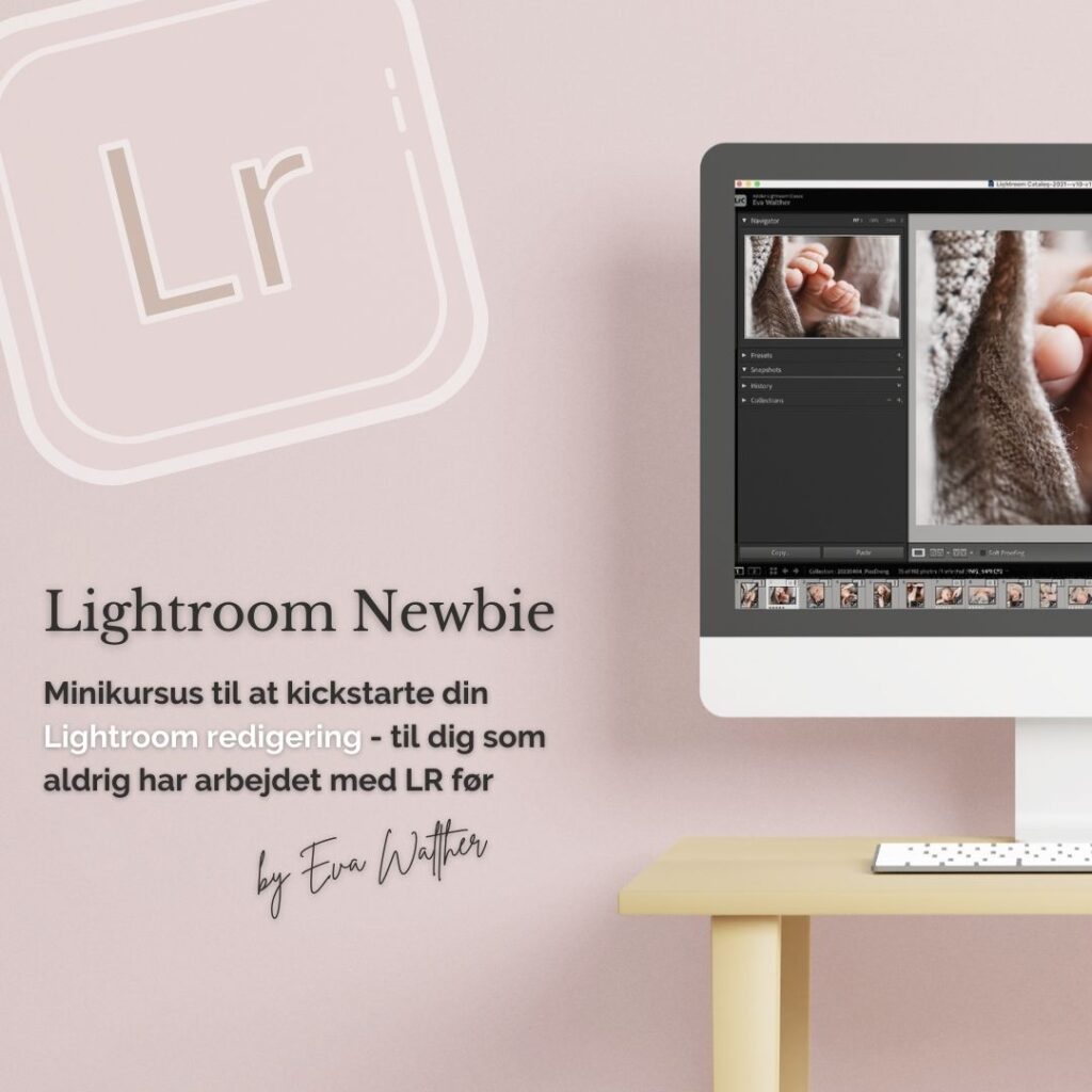 fotokursus-lightroom-newbie